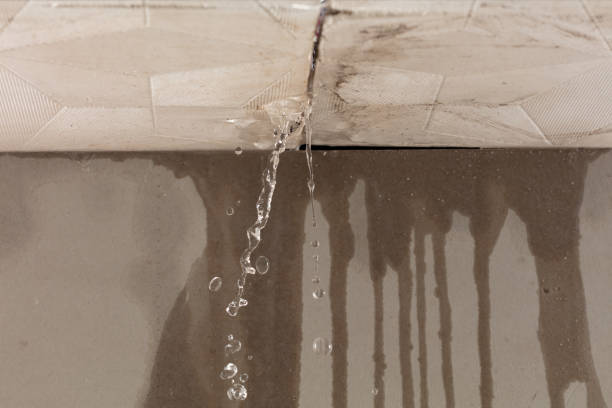 Professional Burst Pipe Cleanup technician working in Flag Pond, TN